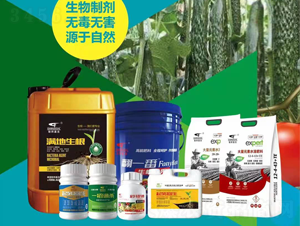 ���t��ʩ�ʷ���-(li��n)��μ�