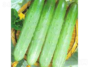 �Ø�(l��)-�S�ϷN��-���A�N�I(y��)