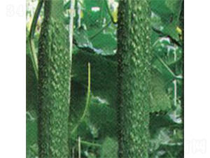 ���A��̖(h��o)-�S�ϷN��-���A�N�I(y��)