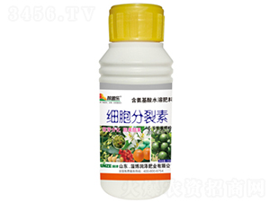 ��(x��)��������-���՘�-���ɷʘI(y��) 