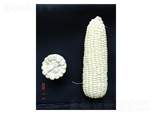 ����Ŵ1̖-Ŵ���׷N��-���r(n��ng)�l(f��)