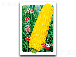 ճ�����̖-Ŵ���׷N��-����˹