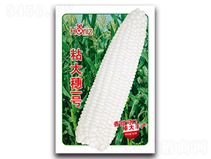 ճ����һ̖-Ŵ���׷N��-����˹