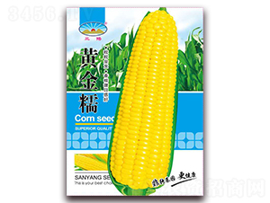 �S��Ŵ-Ŵ���׷N��-��ͷN�I(y��)