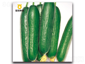 SN8309-�S�ϷN��-���r(n��ng)�N��