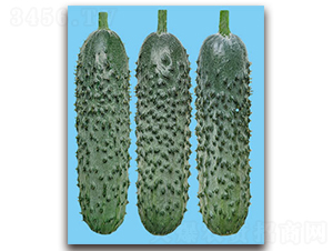 ����-�S�ϷN��-�S�{�N��