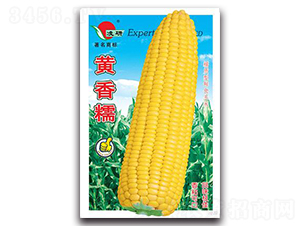 �S��Ŵ-Ŵ���׷N��-�ʴ��r(n��ng)�I(y��)