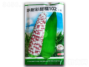 �A�Ͳ���Ŵ102-���׷N��-�������