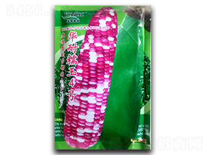 �A��Ŵ��4̖-���׷N��-�������