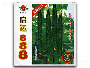 ���\(y��n)888�S��-�S�ϷN��-�ʴ��r(n��ng)�I(y��)