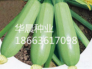 �Gѩ-�����J�N��-�A���N�I(y��)