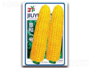 ��ճһ̖-Ŵ���׷N��-�����Z