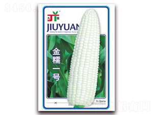 ��Ŵһ̖-Ŵ���׷N��-�����Z