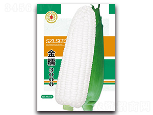 ��Ŵ3000-Ŵ���׷N��-�����Z