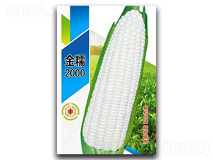 ��Ŵ2000-Ŵ���׷N��-�����Z