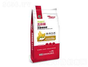 ����溬����ጷ�25-10-11+TE-����֮��-���ʼ��F(tu��n)