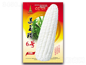 �K��Ŵ6̖(h��o)-Ŵ���׷N��-�н��r(n��ng)�I(y��)