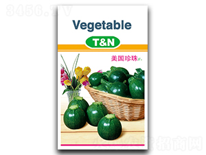 ��������-�����J�N��-���S�N�I(y��)