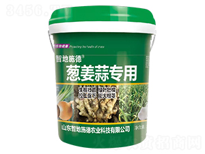 �[���⌣�÷�-�ǵ�ʩ��-�|��