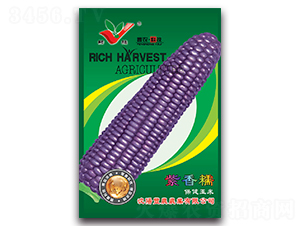 ����Ŵ-Ŵ���׷N��-�S�r(n��ng)�r(n��ng)�I(y��)