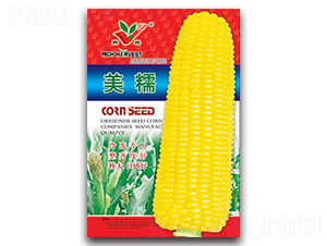 ��Ŵ-Ŵ���׷N��-�S�r(n��ng)�r(n��ng)�I(y��)