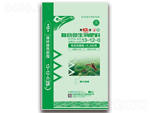 �r�����Ïͺ�΢�������13-12-0-�P������