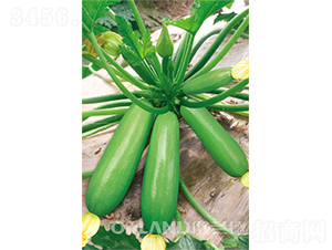 �W���˶���-�����J�N��-�W�m��