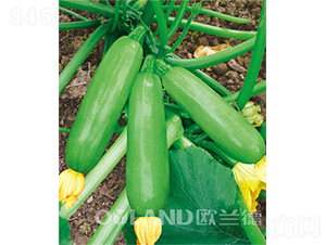 �W���͟��܊-�����J�N��-�W�m��