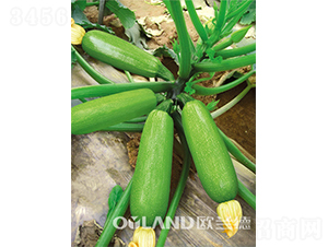 �W������܊-�����J�N��-�W�m��