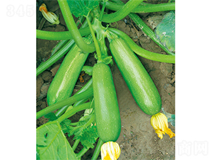 �;G�����܊-�����J�N��-�W�m��