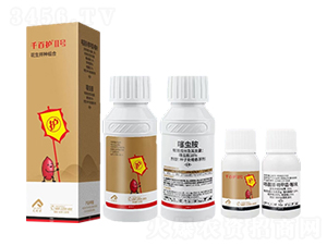 ������N�M��-ǧ���oII̖-�����r(n��ng)