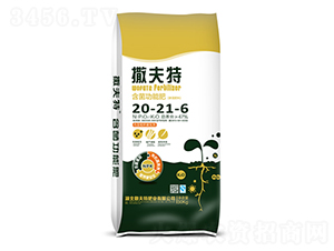 �������ܷ�20-21-6-������