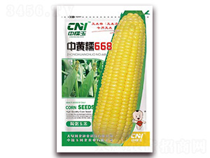 ���SŴ668-Ŵ���׷N��-�δ�G