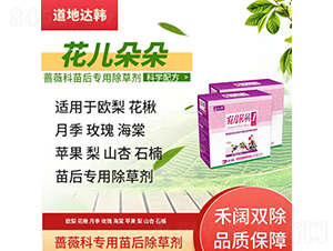 �Nޱ�ƌ��������݄�-�������-�����_(d��)�n