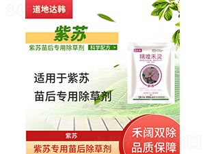 ���K��(zhu��n)�������݄�-�����_(d��)�n