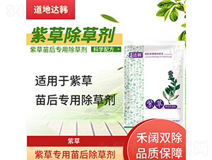 �ϲ݌�(zhu��n)�������݄�-�����_(d��)�n