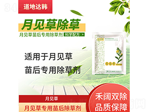 ��Ҋ(ji��n)�݌�(zhu��n)�������݄�-�����_(d��)�n