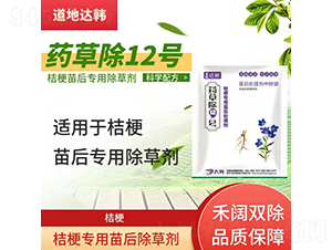 �۹�������ó��݄�-ˎ�ݳ�12̖-�����_(d��)�n