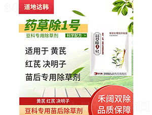 ���ƌ��������݄�-ˎ�ݳ�1̖-�����_(d��)�n