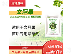 �Ĺڹ����������݄�-�����_(d��)�n