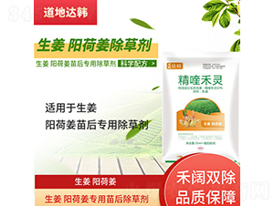 ����ꖺɽ����������݄�-�����_(d��)�n