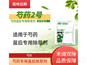 ��ˎ���������݄�-��ˎ2̖-�����_(d��)�n