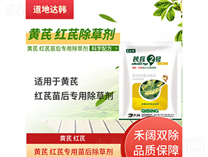 �S�μt�Ό��������݄�-�α�2̖-�����_(d��)�n