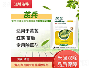 �S�μt�Ό��������݄�-�α�-�����_(d��)�n