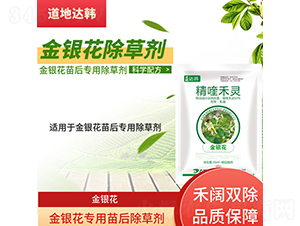 ���y�����������݄�-�����_(d��)�n