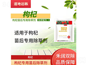 ��轌��������݄�-�����_(d��)�n