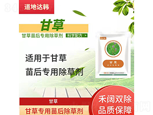 �ʲ݌��������݄�-�����_(d��)�n