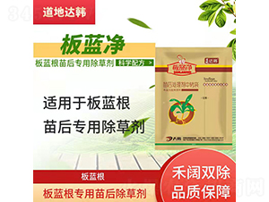 ���{(l��n)�����������݄�-���{(l��n)��-�����_(d��)�n