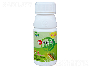 �E�R���������܄�-�E�R����-���r(n��ng)����