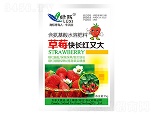 ��ݮ���L(zh��ng)�t�ִ�-�G��-��ʿ�R��